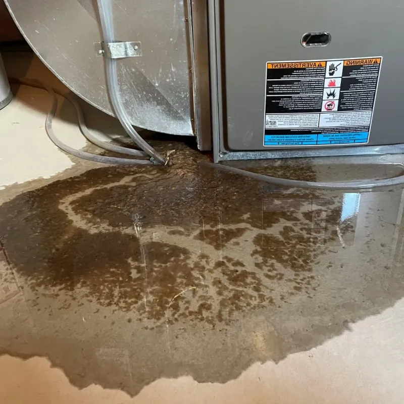 Pipe Burst and Leak Restoration in Miles City, MT